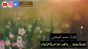 تلاوة صلاة ما تيسر من سورة الأنعام بصوت محبكم #محمد_الميشاني