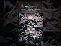 JANE DOE(米津玄師, 宇多田ヒカル)- 多々星カイリ cover #Shorts #歌ってみた