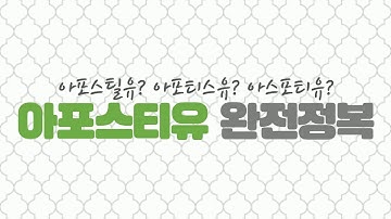 아포스티유, 뭐가 뭔지 모르겠다고?!??!??!?