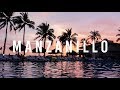 Manzanillo (Vimos tortugas :O )