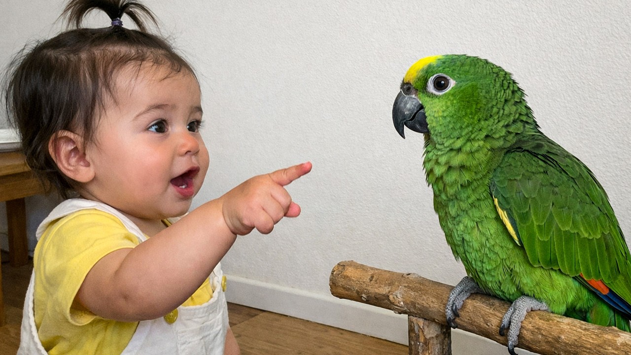 When Your Baby and Parrot Have a Whole Secret Conversation 🦜😂
