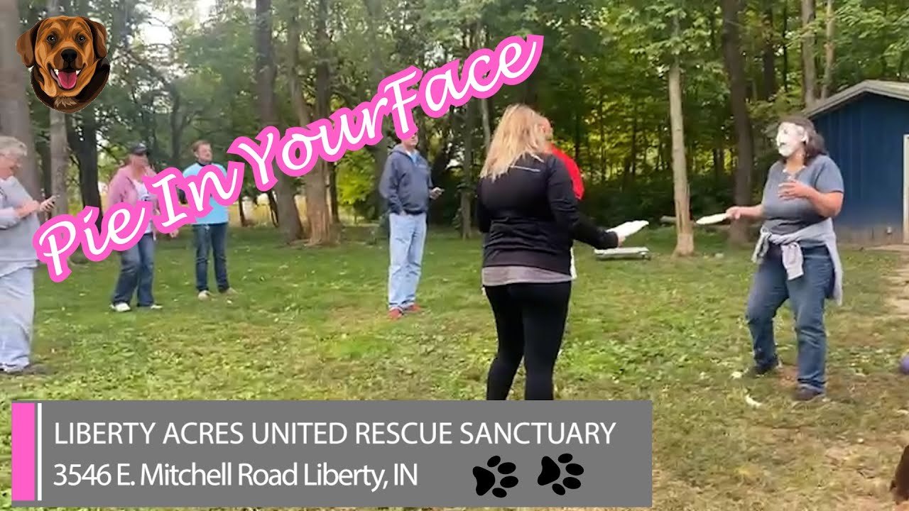 🥧 Pie face LIBERTY ACRES UNITED RESCUE SANCTUARY YouTube