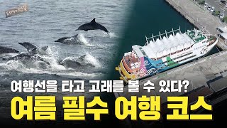 울산 장생포항 앞바다에서 고래도 만나고 정원이 있는 카페에서 힐링하자! | 테마기행 길 | 24년 08월 23일