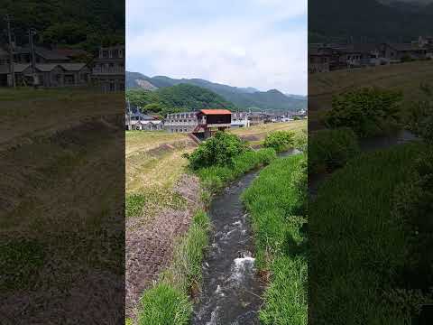 桐生川 上流側 中里橋で撮影 桐生市 20250607 #桐生川