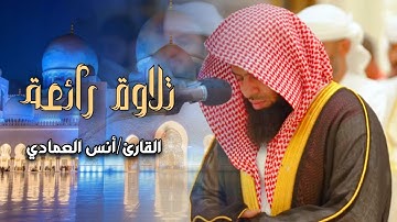 تلاوة بديعة ومؤثرة ما تيسر من سورة المائدة لفضيلة الشيخ أنس العمادي