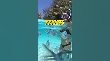 Thumbnail of Most Expensive hotel in BORA BORA!