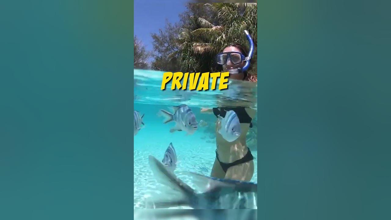 Most Expensive hotel in BORA BORA! Most Expensive hotel in BORA BORA!