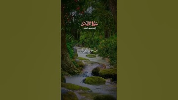 #القارئ محمود الشحات