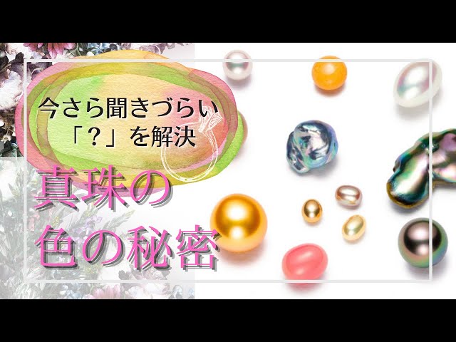 Jewelry Basics #5] The secret of pearl colors. Why are pearl