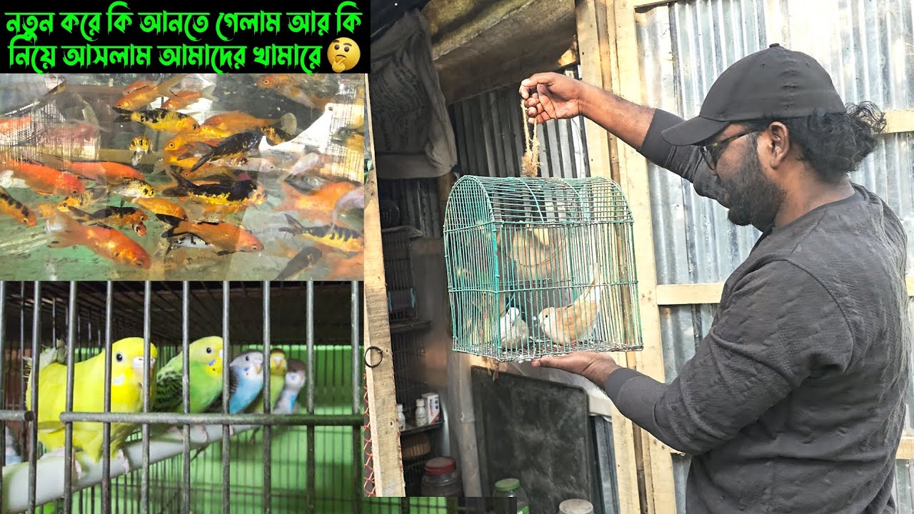  নতুন করে কি আনতে গেলাম আর কি নিয়ে আসলাম আমাদের খামারে। 🤔