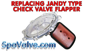 SPA CHECK VALVE- JANDY FLAPPER REPLACEMENT