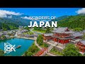 Wonders of Japan – Explore Temples, Forests, and the Art of Simplicity | Travel Video 4K