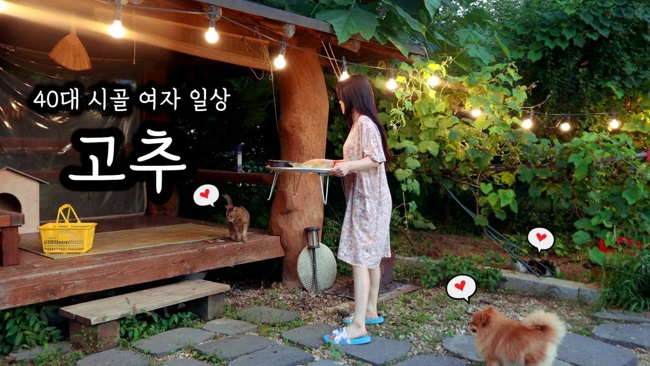 40대 시골 여자ㅣ고추 따서 4가지 안주 만들고 우중 혼술ㅣ땡초장, 땡초얼갈이물김치, 고추튀김, 고추부추전으로 스트레스 날리기!!