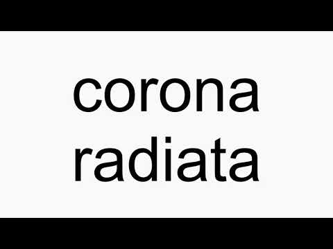 how-to-pronounce-corona-radiata