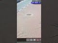פעם נוספת: נתלש שלט הקורא לגיוס מחוץ לביתה של אחות שכולה | תיעוד