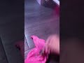 Raggy pink made him aggressive