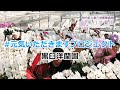 ＃元気いただきますプロジェクト