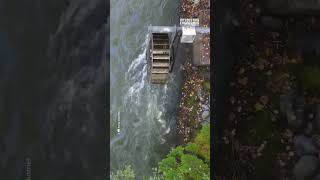 Can a Waterwheel Generate Electricity?