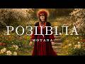 MOTANA Розцвіла KARMV Remix Кажуть дівка розцвіла я вже мамо не мала