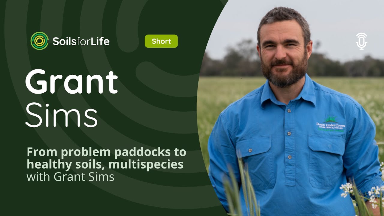 From problem paddocks to healthy soils, multispecies with Grant Sims