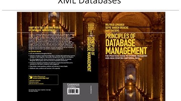 Chapter 10 XML Databases