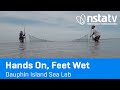 Hands on feet wet  dauphin island sea lab