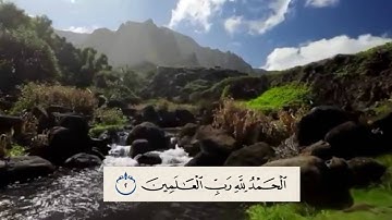 سورة الفاتحه بصوت رعد الكردي