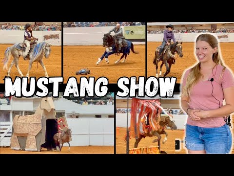 The 2023 Fort Worth MUSTANG SHOW!!