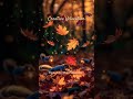 Glow Leaf Autumn #relaxing #ambient #visualpoetry #creative #creativerelaxation #lulllab9