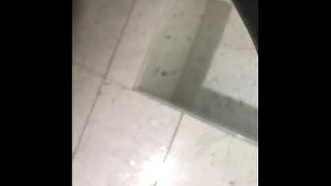 تلاوة رائعة د. بندر بليلة من سورة القصص العشاء ٢٤/ ٣/ ١٤٤١