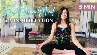 5 Minute Guided Meditation to Quiet Your Mind & Calm Your Nervous System