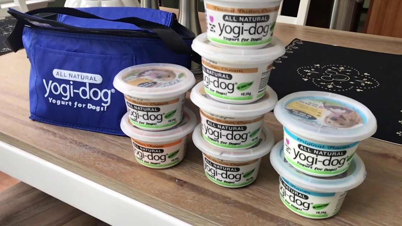 Yogi Dog Yogurt! YouTube