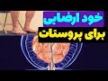  آیا خودارضایی برای درمان بزرگی پروستات مفیده این ویدئو رو از دست ندهید  