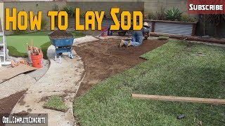 How to Lay SOD, St.Augustine Grass DIY for Beginners PART 3