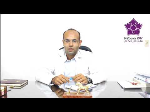 دكتور محمد مسعد معروف استشاري جراحة العظام و العمود الفقري رعاية247