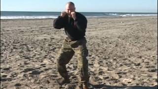 EXECUTE AN OUTSIDE FORWARD KNIFEHAND STRIKE Net Worth