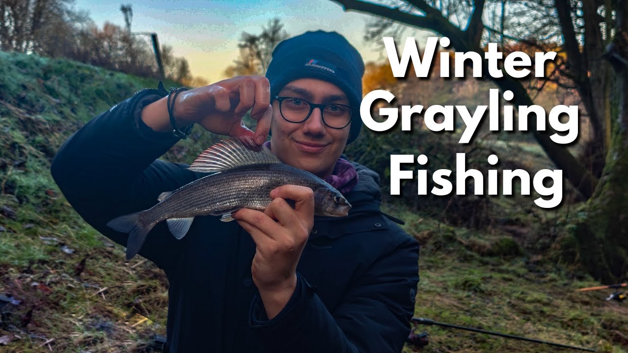 Winter Grayling and Chub Fishing on the River Nidd
