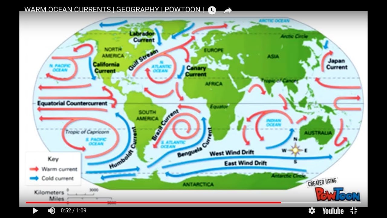 Холодные течения евразии. Морские течения. Ocean currents. Ветер и морские течения. Морские течения на планете.