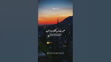 فصبرٌ جميل آيات من سورة يوسف| رمضان ليالي المغفرة 🤍 #القرآن_الكريم #quran #تلاوة_خاشعة