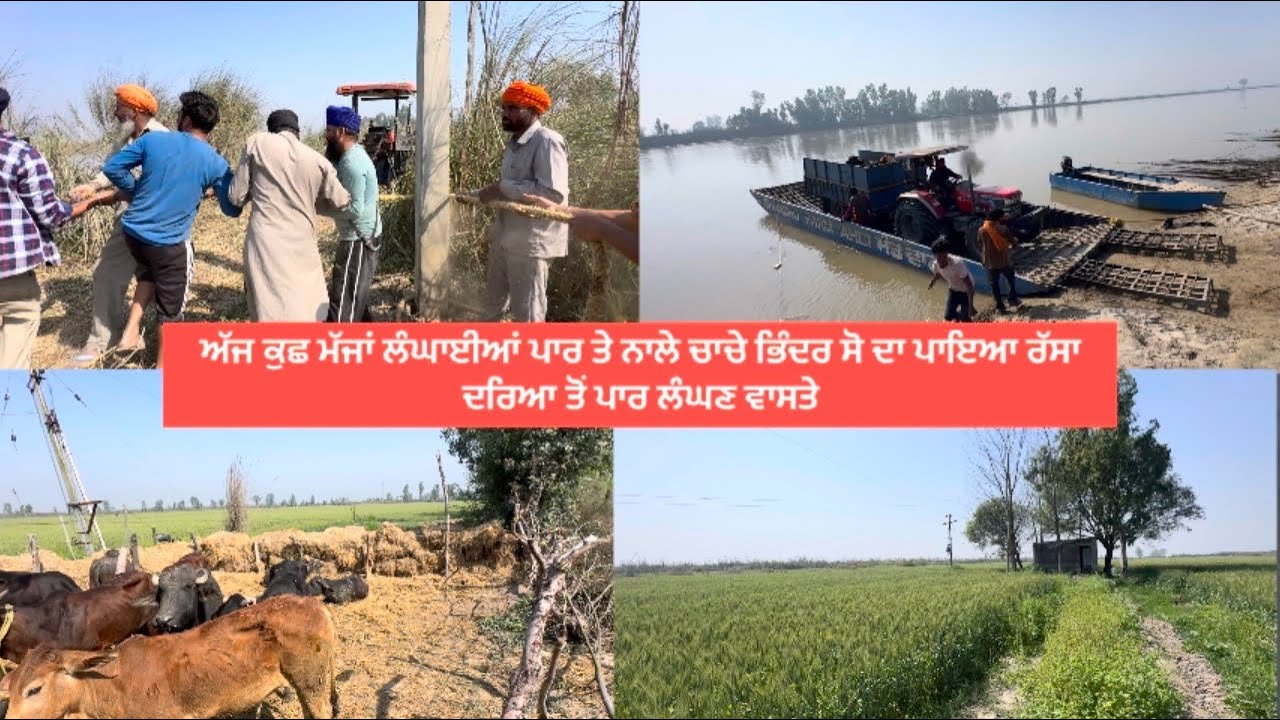 ਅੱਜ ਕੁਛ ਮੱਜਾਂ ਲੰਘਾਈਆਂ ਪਾਰ ਤੇ ਨਾਲੇ ਚਾਚੇ ਭਿੰਦਰ ਸੋ ਦਾ ਪਾਇਆ ਰੱਸਾ ਦਰਿਆ ਤੋਂ ਪਾਰ ਲੰਘਣ ਵਾਸਤੇ