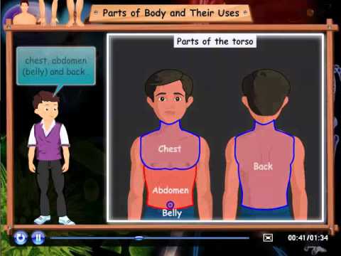 Parts of body and their uses - YouTube