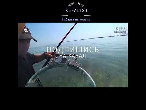 #shorts fishing, рыбалка, риболовля, pesca, balıqçılıq, 釣り, balık tutma, балық аулау, თევზჭერის