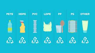 Bin Banter: Follow the Journey of Single-stream Recycling in Lincoln