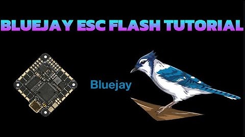 Bluejay/Betaflight ESC flash Tutorial (#fpv #drone #quadcopter #betaflight)