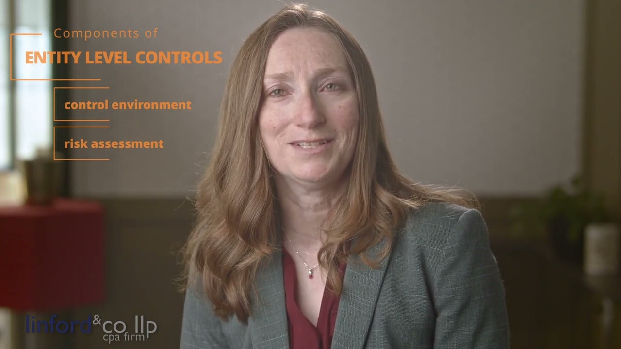 Entity-Level Controls: Organizational Impact & The Audit Process