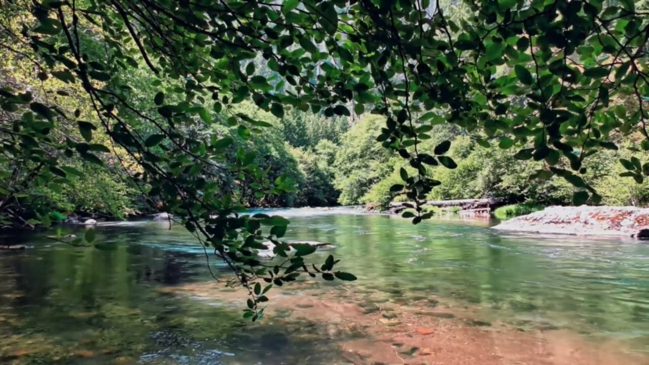 The ULTIMATE Relaxing Nature Escape