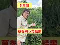 耕作放棄田が芝生化する？