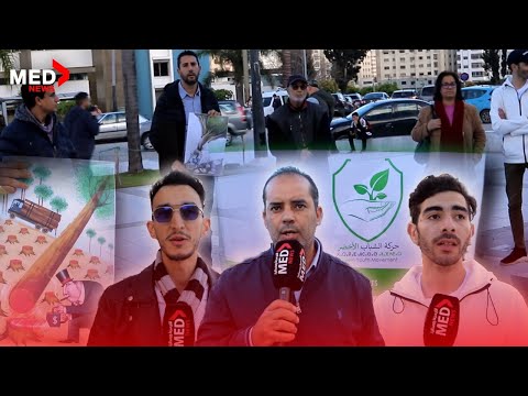 الترامي على غابة السلوقية يخرج حركة الشباب الأخضر للإحتجاج بطنجة 