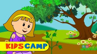 plant a tree with elly let it grow