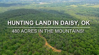 480 Acres of Hunting Land in Daisy, Oklahoma for Sale